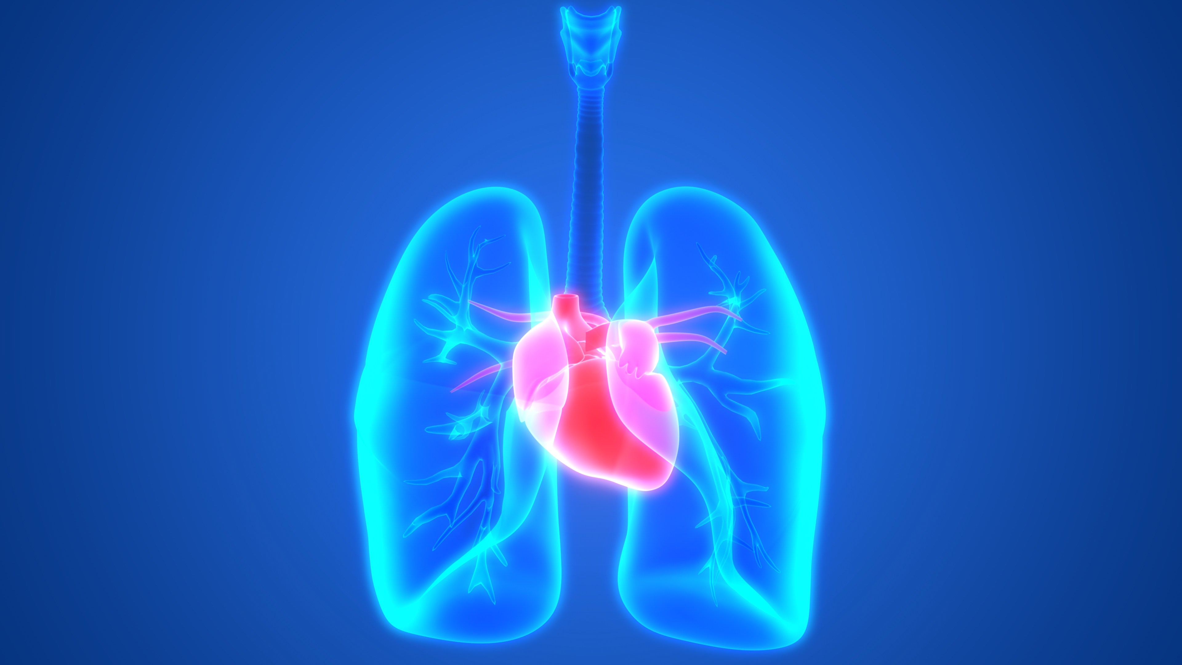 [DIAGRAM] Diagram Of The Lungs And Heart - MYDIAGRAM.ONLINE