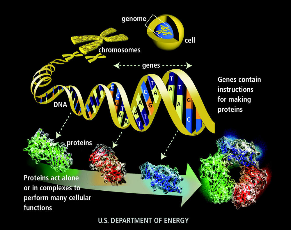 Genome | Broad Institute of MIT and Harvard