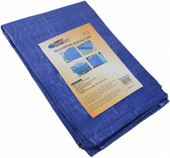 10' X 10' Blue Tarp