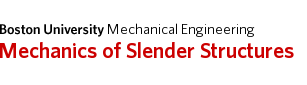 Mechanics of Slender Structures