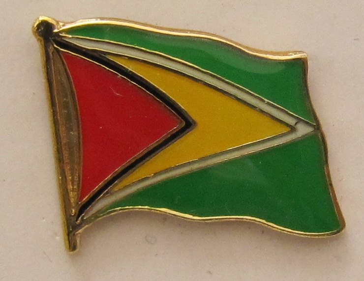 Guyana Pin Anstecker Flagge Fahne Nationalflagge