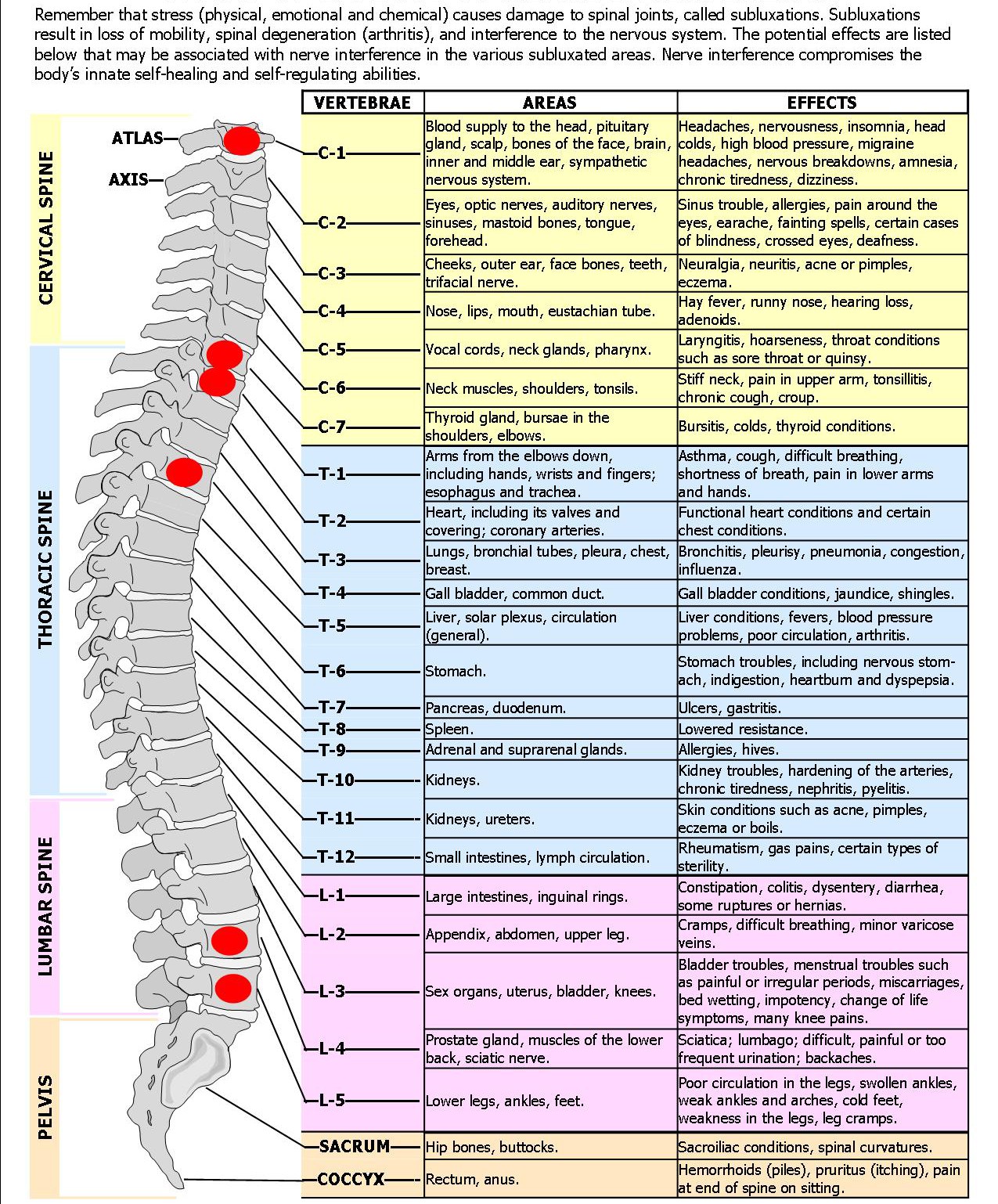 Spinal Nerve Pain Chart