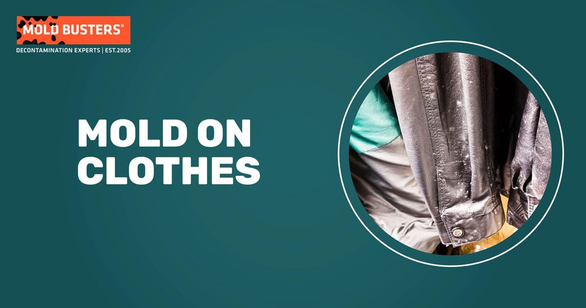 mold on clothes