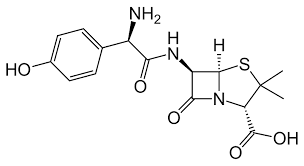 Amoxycillin