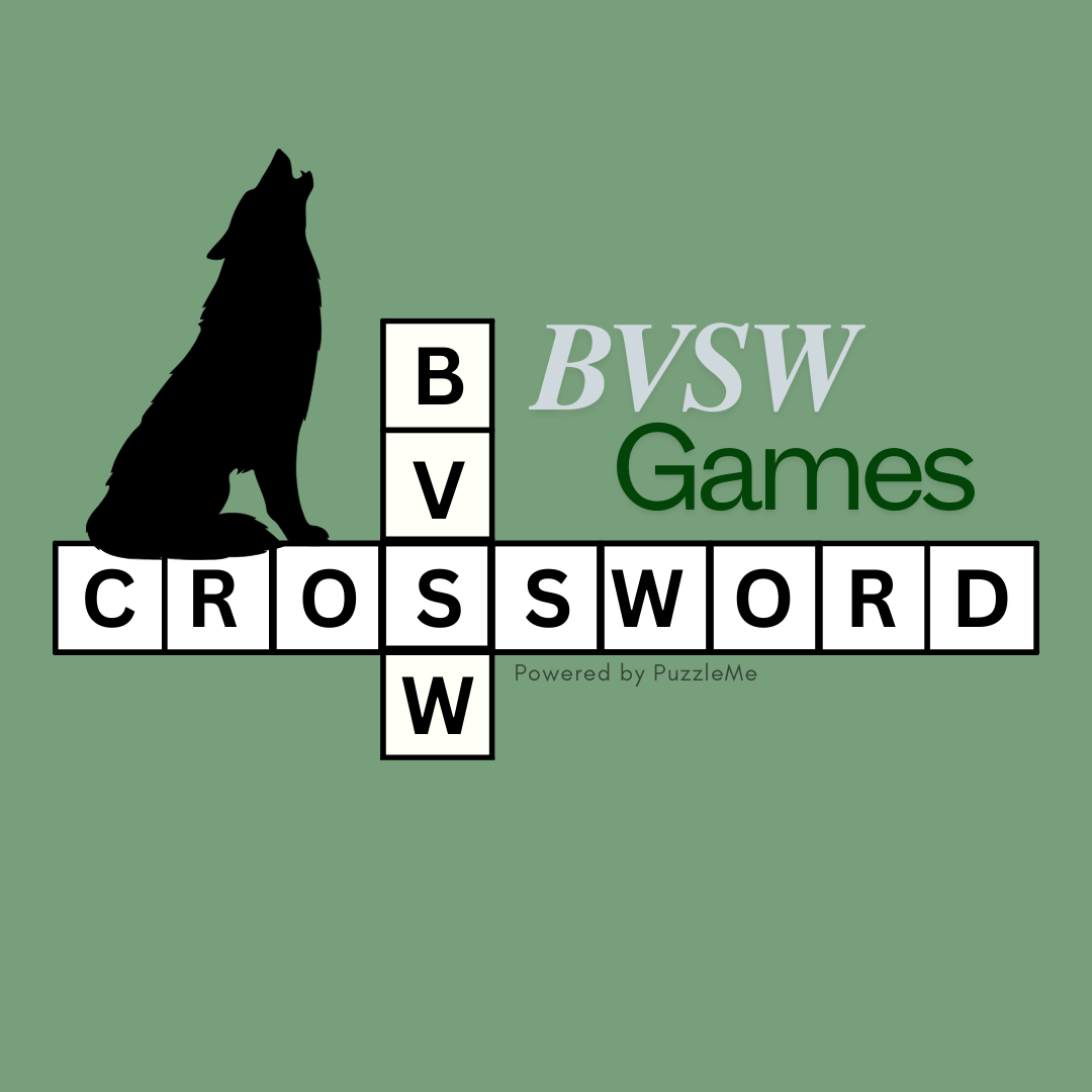 Snow Activities Crossword 12/10