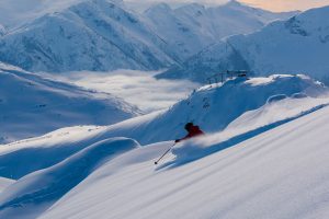 Whistler Skier