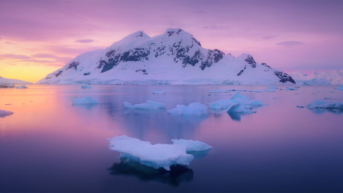 Antarctica Day – Bing Wallpaper Download