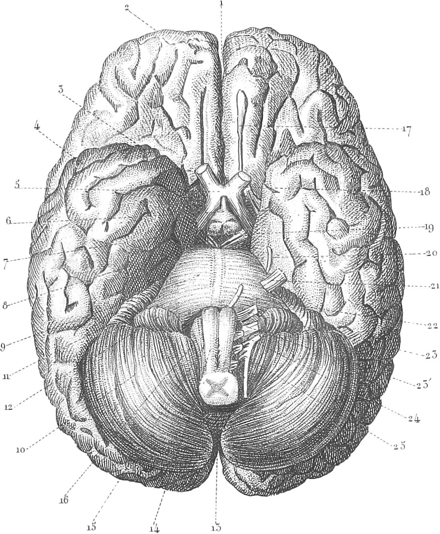 Iconographic Encyclopædia of Science, Literature, and Art