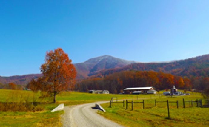 Wears Valley Entrance To The Smoky Mountains National Park