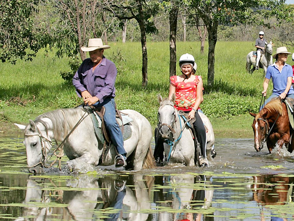 Cairns Horse Riding Tours