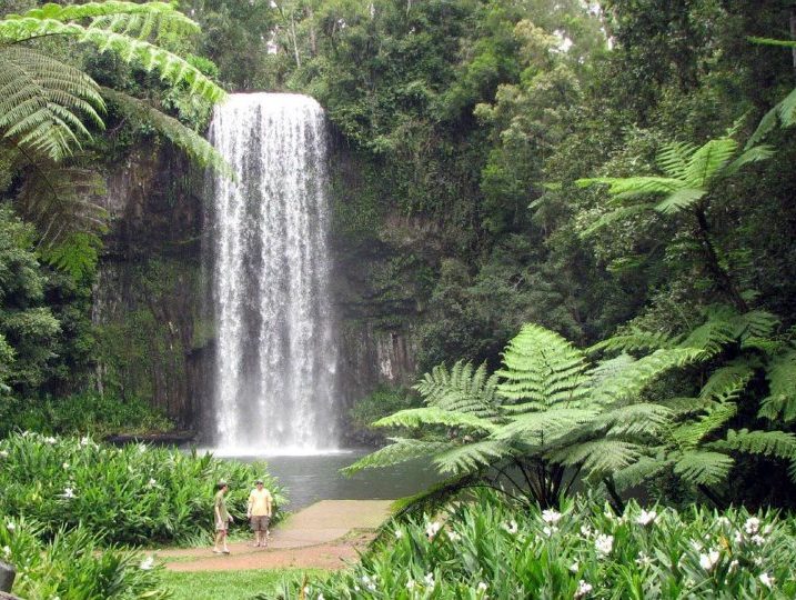 Atherton Tablelands Tours