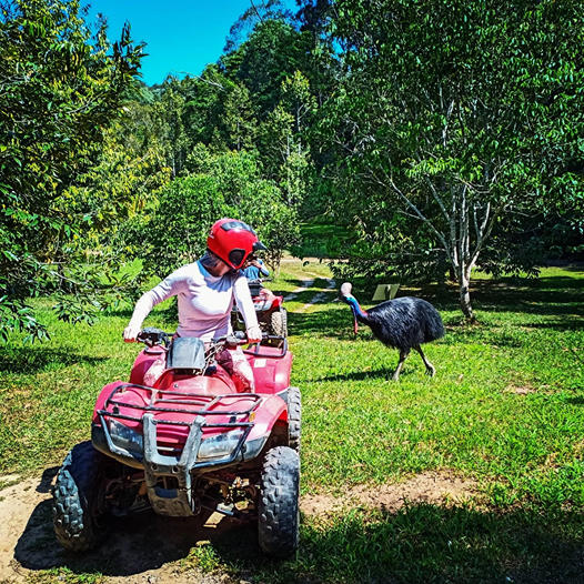 Cairns Quad Bike Tours