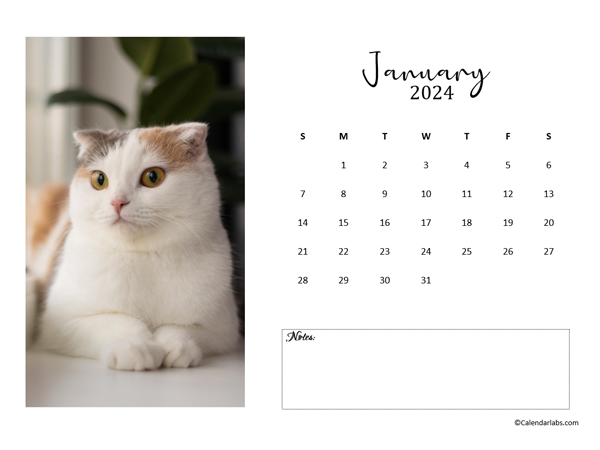 2024 Calendar Template For Publisher Online Free Printable - Kassi Matilda