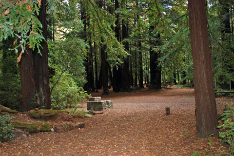 Memorial Park Campground - San Mateo County