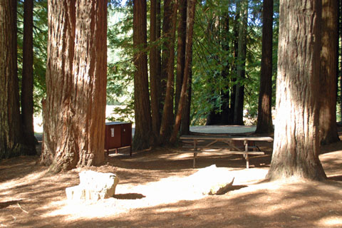 Albee Creek Campground - Humboldt Redwoods State Park