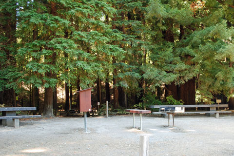 Dawn Redwood Group Campground - Richardson Grove State Park