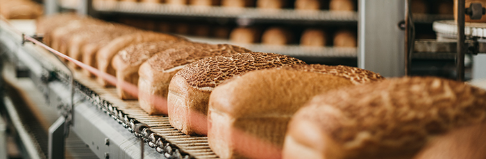 Bread loaves on a production line