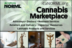 Cannabis Marketplace