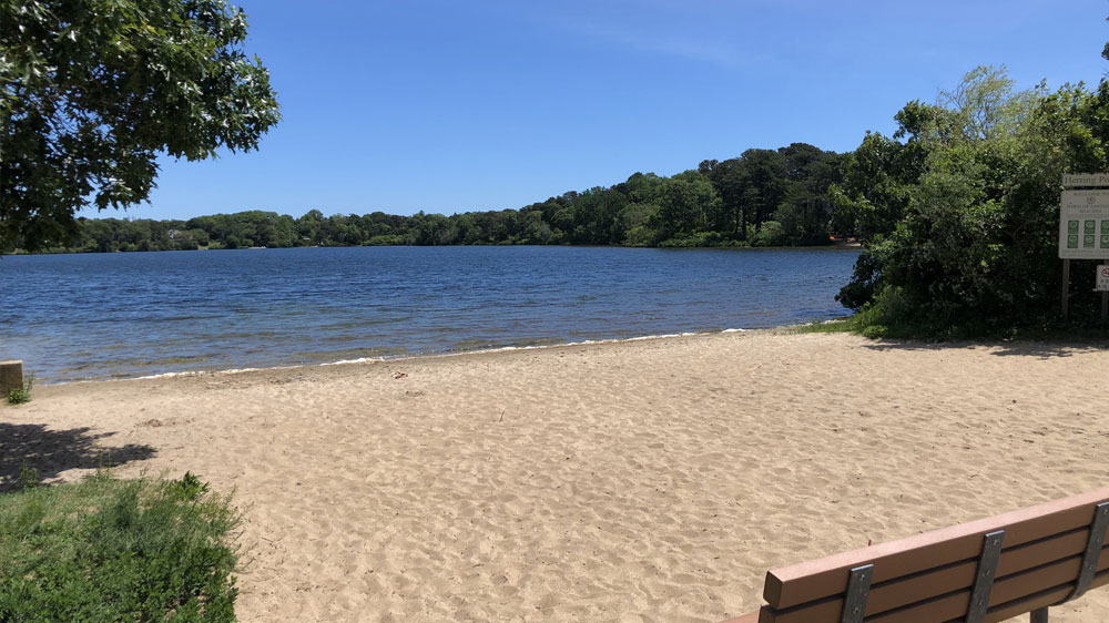 Herring Pond Beach