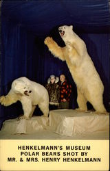 Henkelmann's Museum. Polar Bears Shot by Mr. & Mrs. Henry Henkelmann Woodruff, WI Postcard Postcard