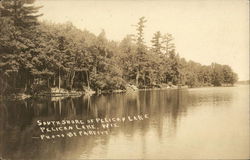 Southshore of Pelican Lake Wisconsin Postcard Postcard Postcard