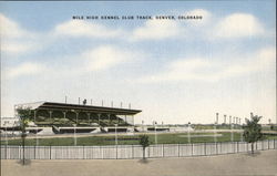 Mile High Kennel Club Track Denver, CO Postcard Postcard Postcard