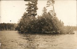 Island in Island Lake Three Lakes, WI Parfitt Postcard Postcard Postcard