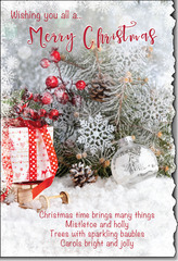 Wishing you All a Merry Christmas greeting card