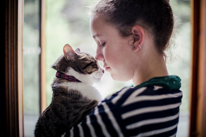 Pet euthanasia at home: What to know to make the best decision for your family