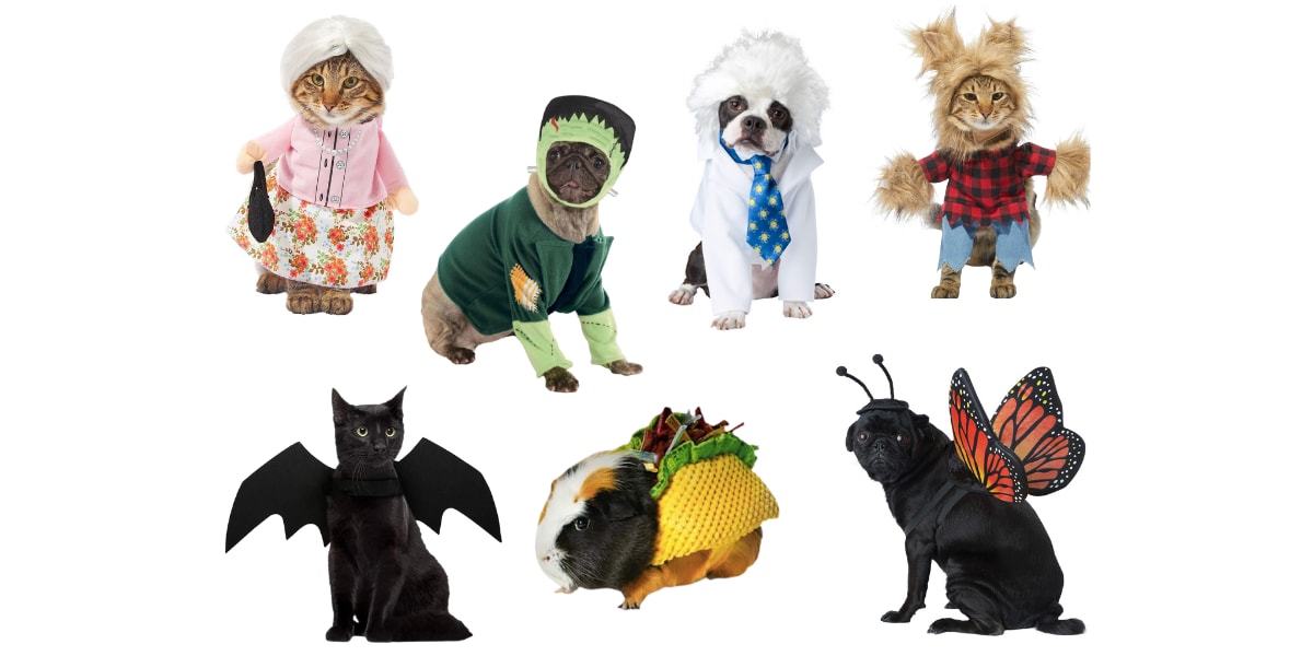 30 glorious pet Halloween costumes