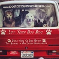 Doggie Beach Bus