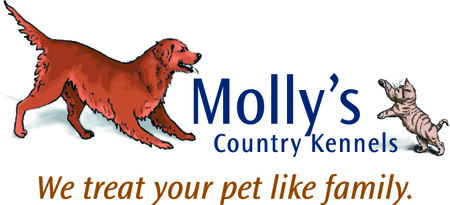 Molly's Country Kennels Inc