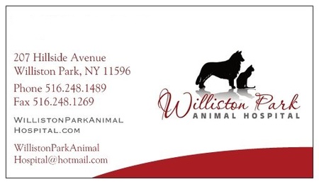 Williston Park Animal Hospital