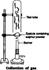 CBSE 10, Chemistry, NCERT Solutions