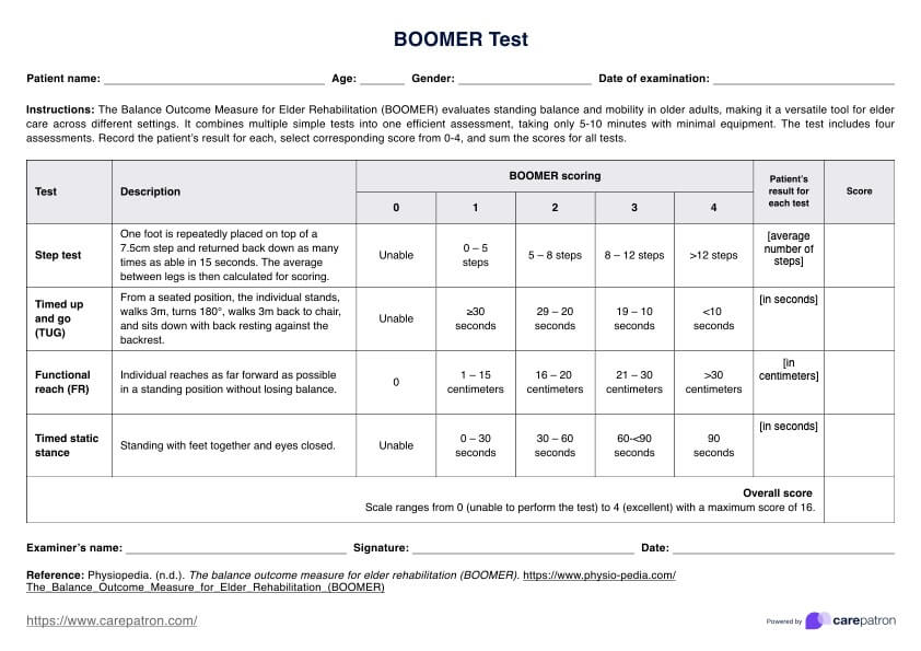 BOOMER Test PDF Example