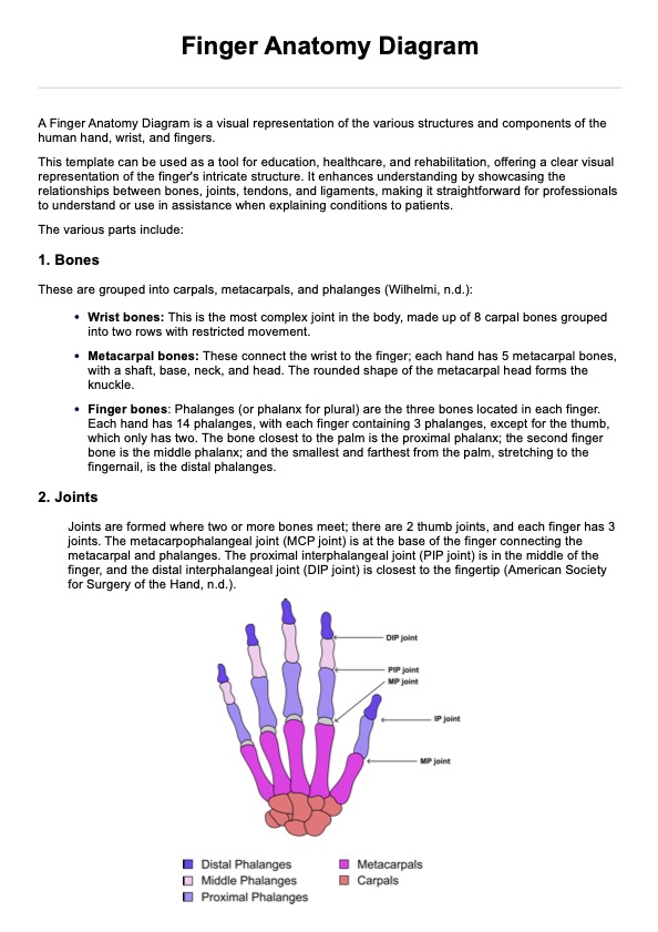 Finger Anatomy Diagram PDF Example