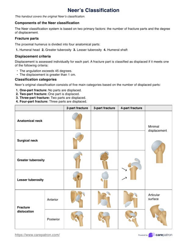 Neer's Classification PDF Example