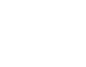 Mega Media