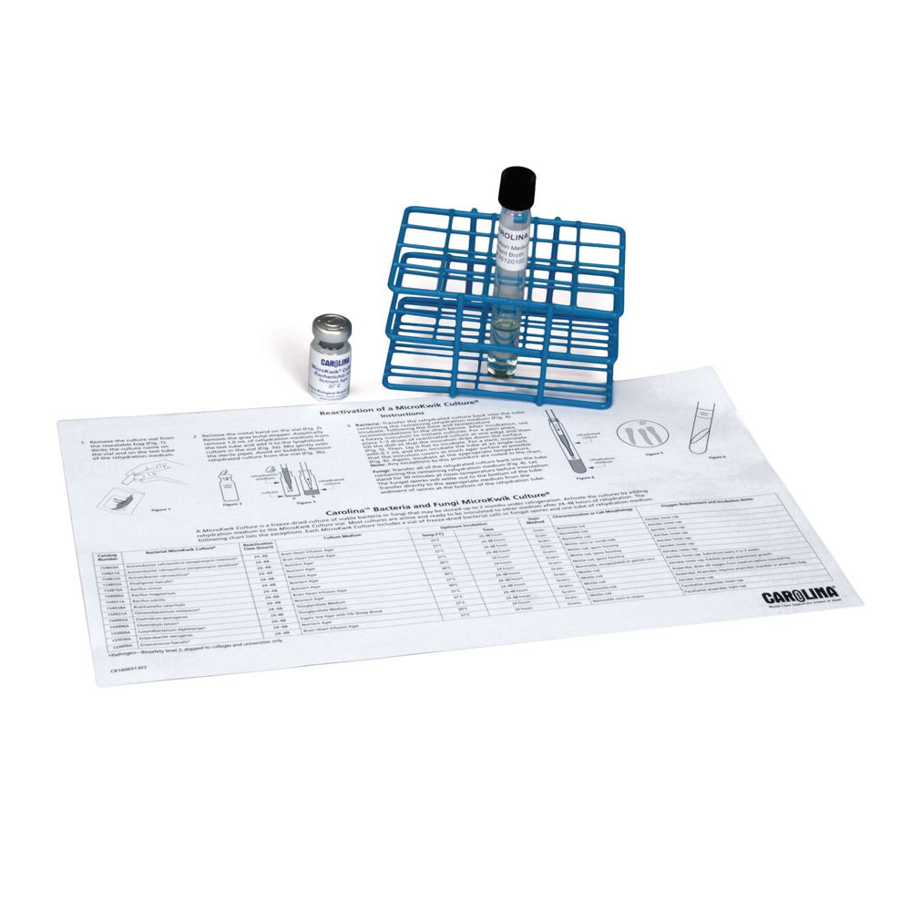 Salmonella MicroKwik Cultures®-Carolina Biological Supply Co.-Knowledgebase image.