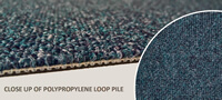 Polypropylene Loop