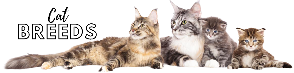 Cat-Breeds.com