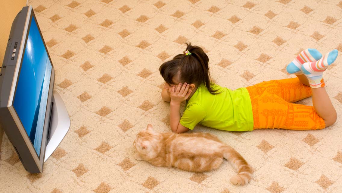 Some cats watch TV because they’re bored.