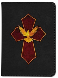 Cross and Dove Catholic Bible [NGB007]