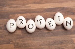 Calculate Your Daily Protein Intake With The Protein Calculator