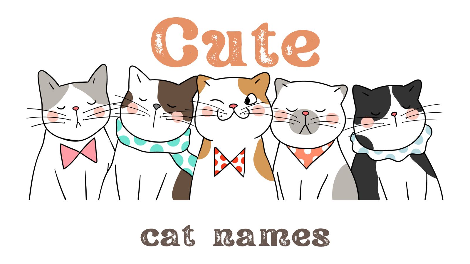 300+ Cute Cat Names for Your Little Cutie!