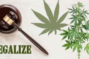 Cannabis Legalization