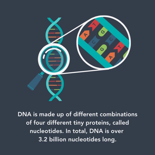 What are genetic errors in childhood cancer and where did they come from?