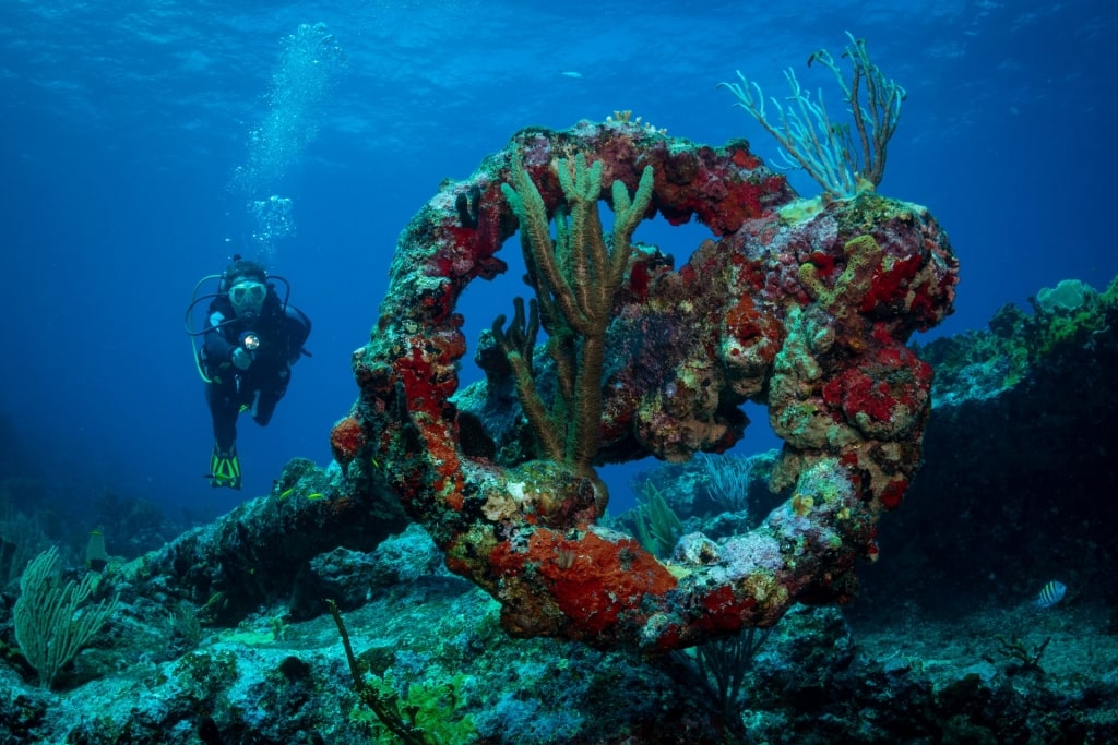 Man scuba diving near the Proselyte