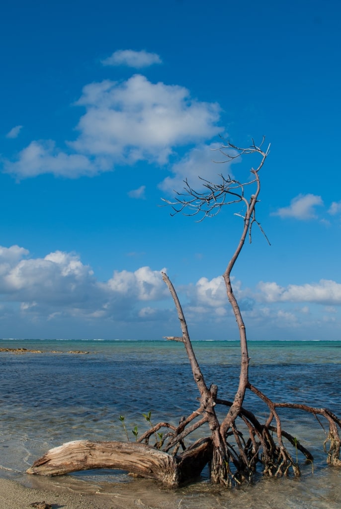 Rocky shoreline of Barkers Beach, Barkers National Park