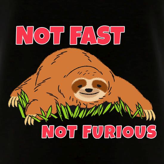 Not Fast Not Furious Sloth t shirt